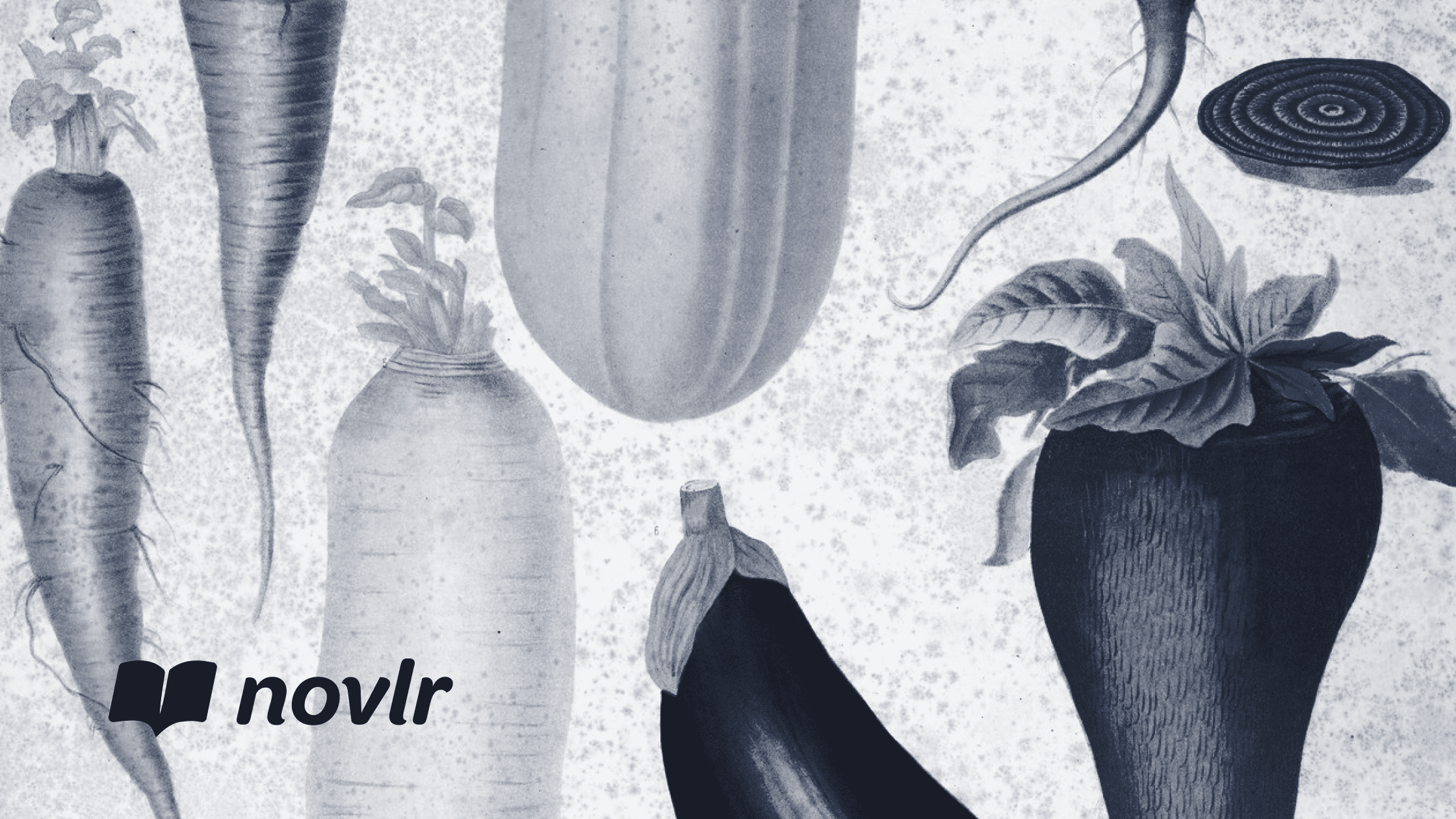 How to write hunger - Novlr quick tips for writers