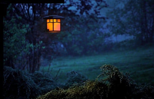 Writing in the Evening