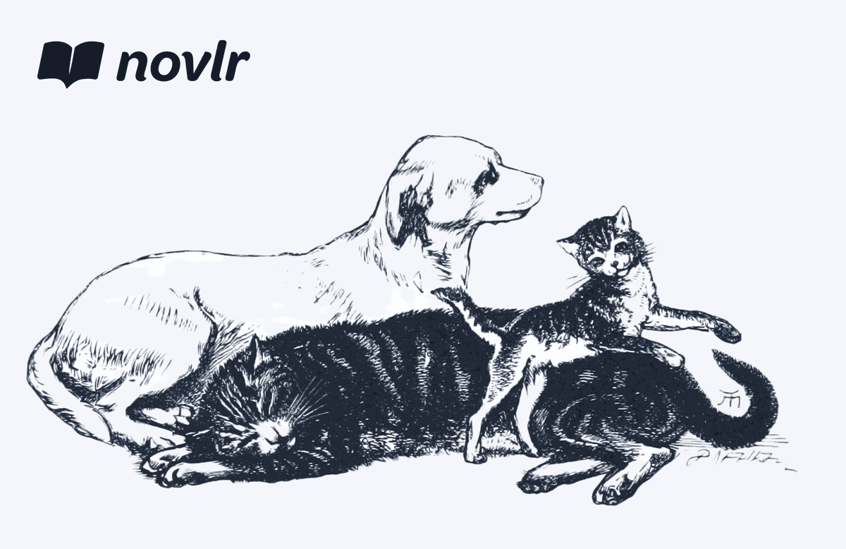 Novlr Community