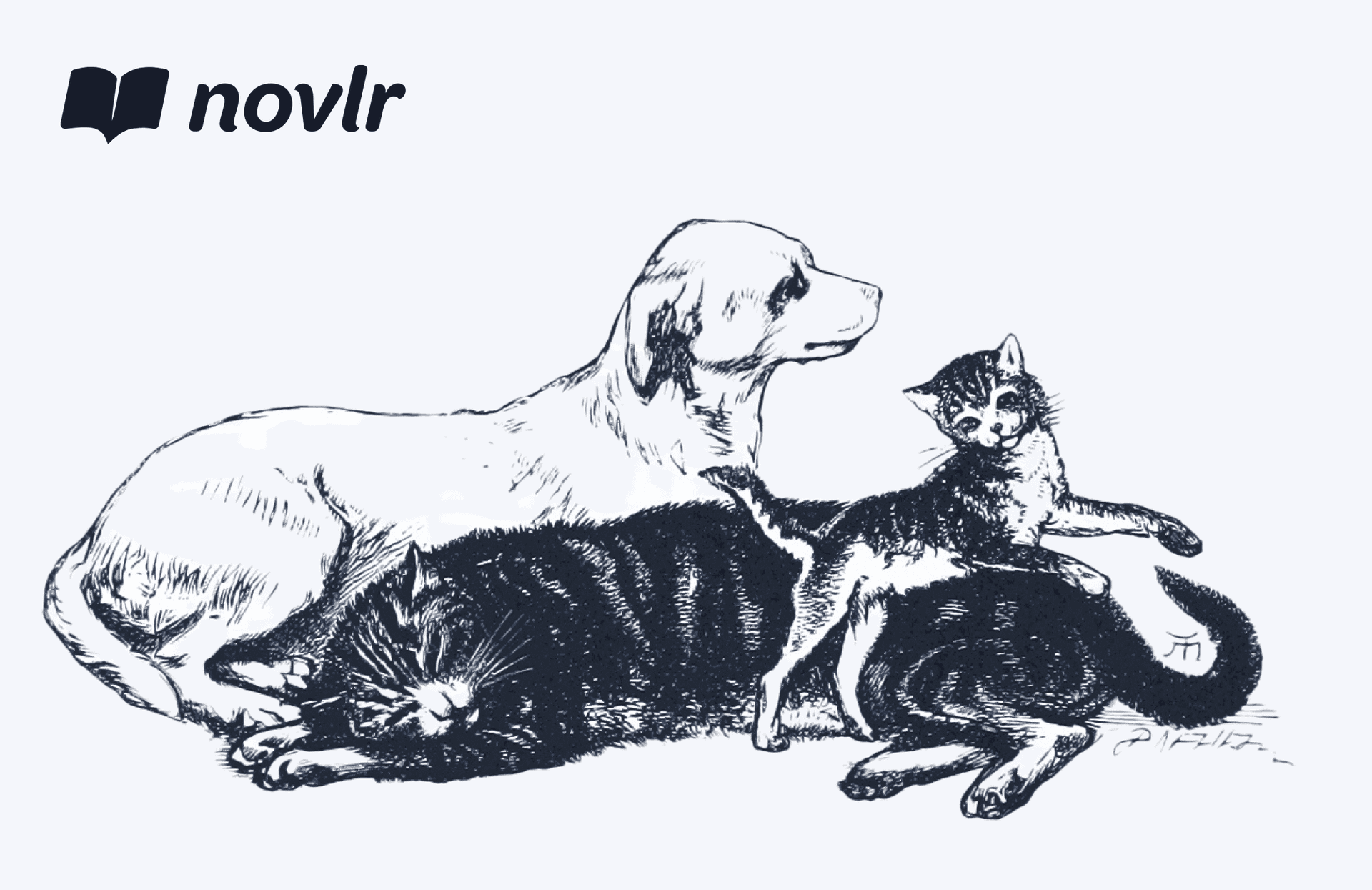 Novlr Community