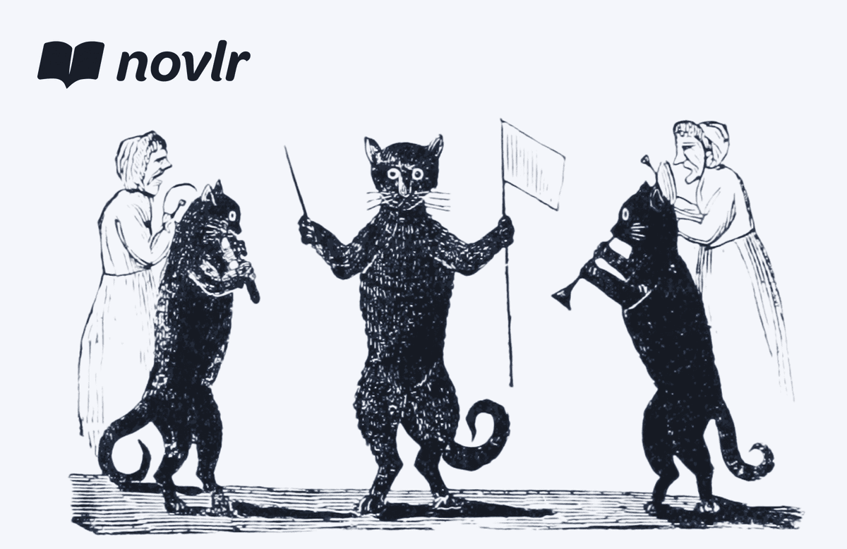 Novlr news header