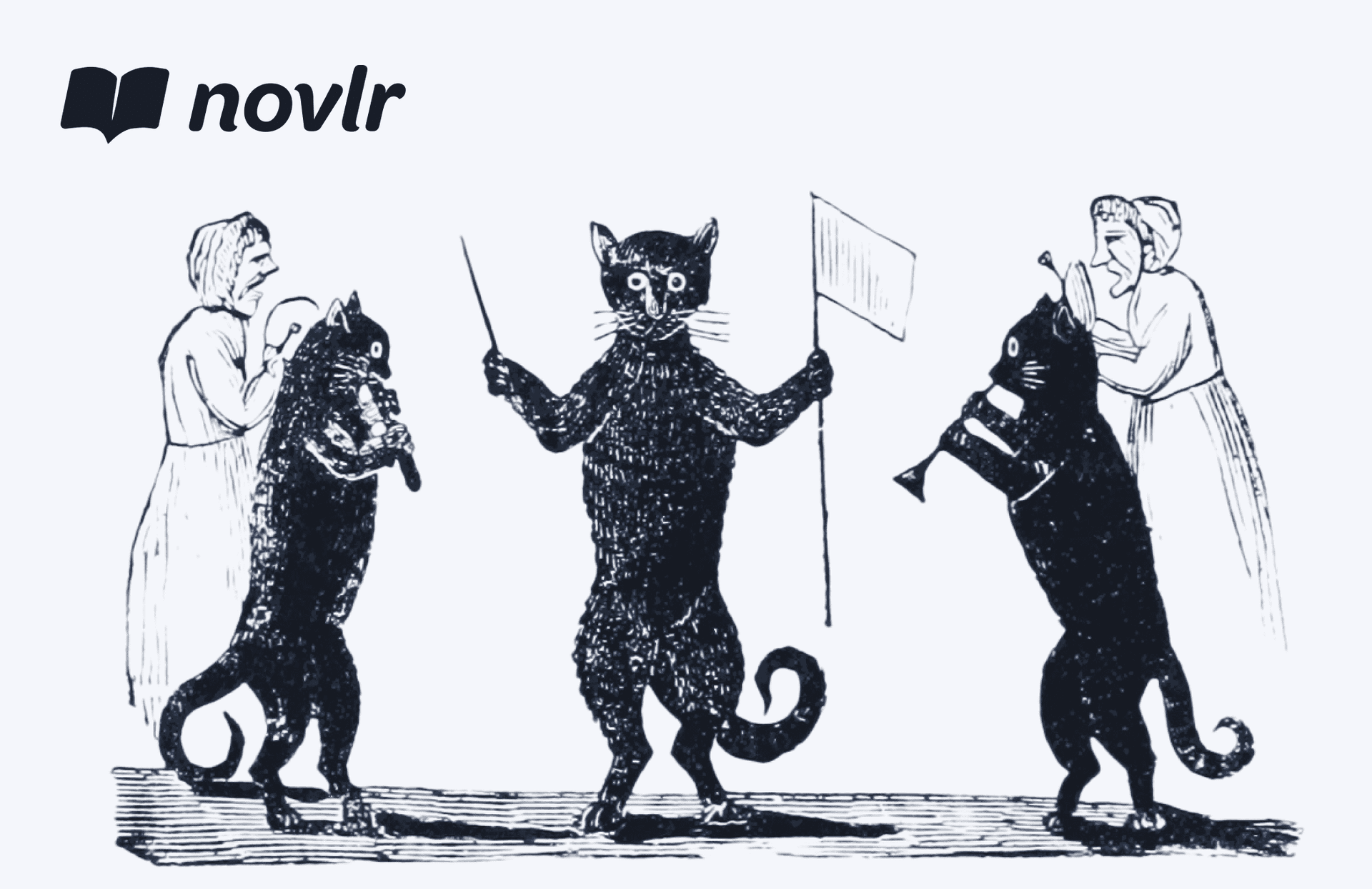 Novlr news header
