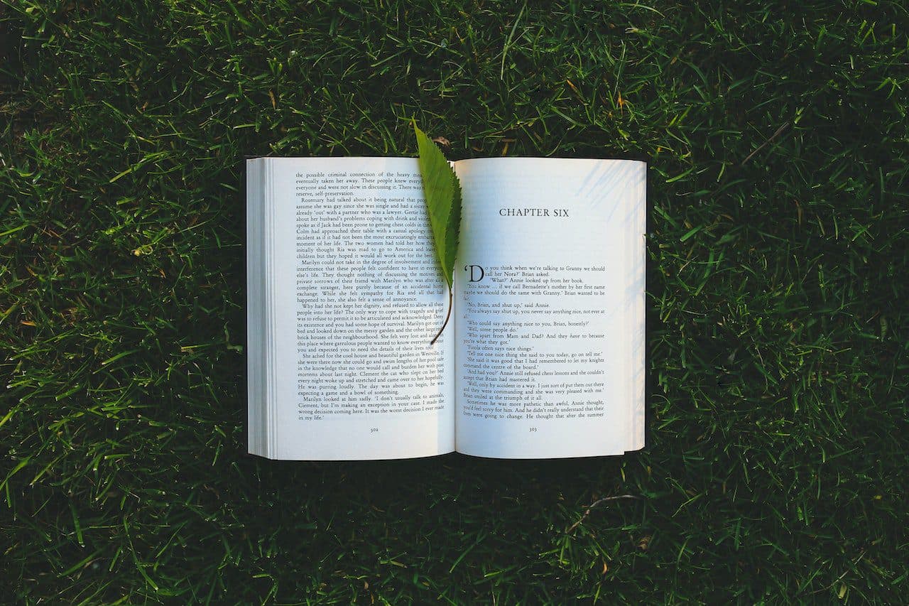 Chapter length - Photo by Kaboompics for Pexels