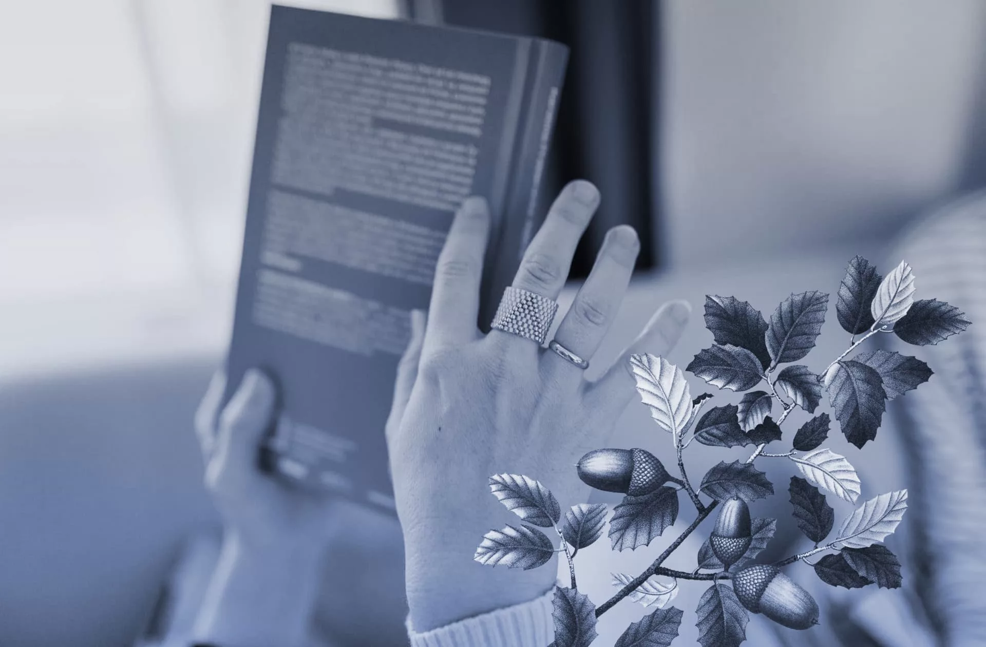 5 Tips For Writing a Book Blurb That Will Hook Potential Readers - Novlr