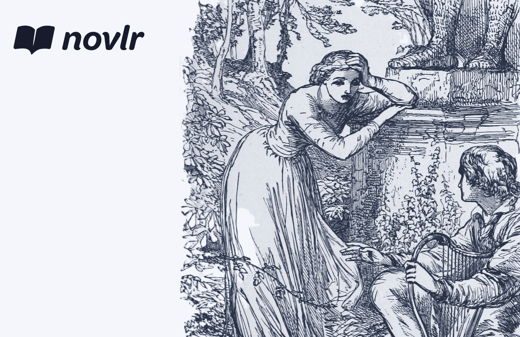 Write desire - Novlr quick tips
