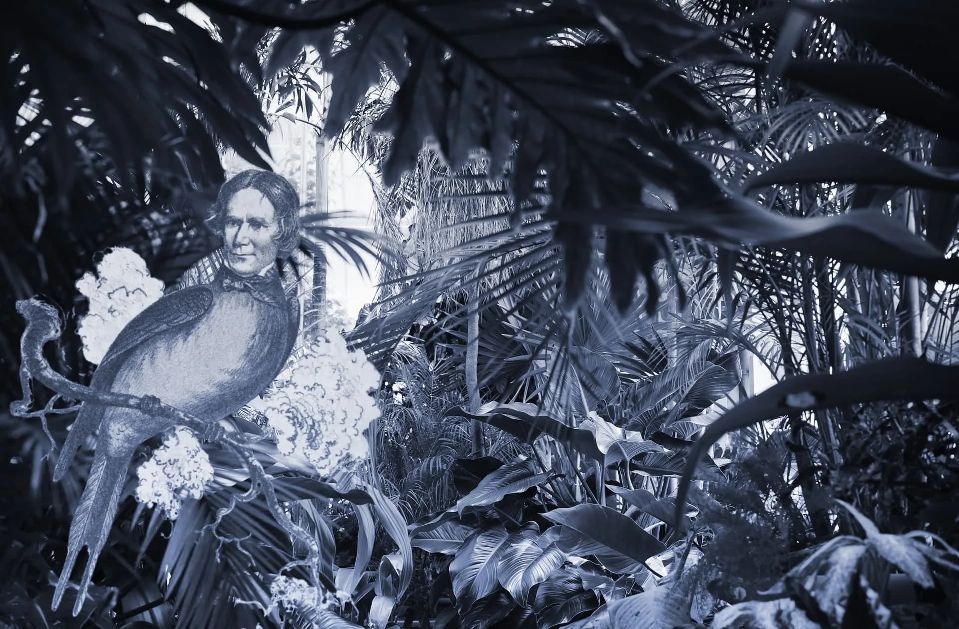 How do you write a good metaphor? - Ask Novlr