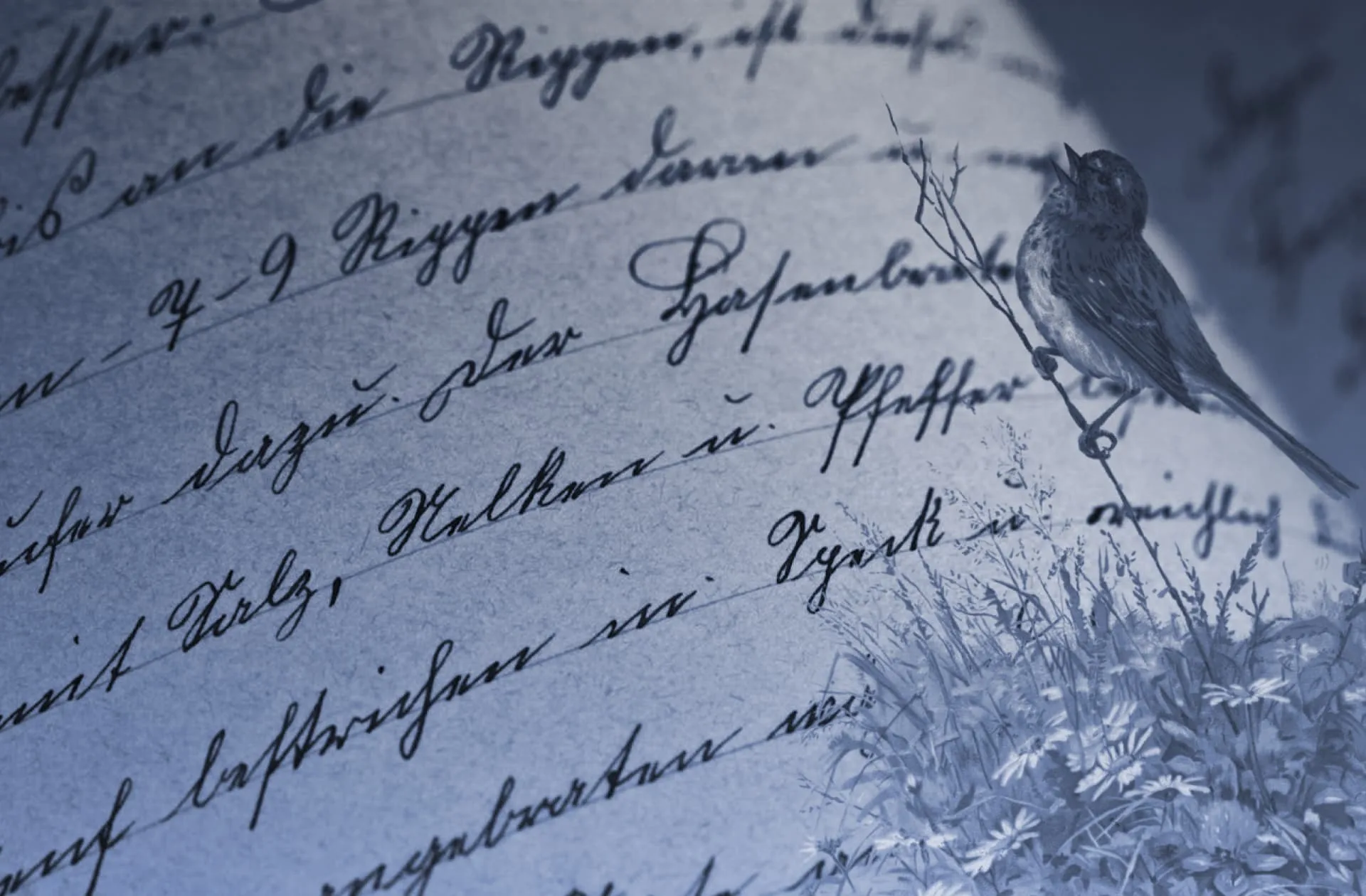 How can I improve my writer’s voice? - Ask novlr