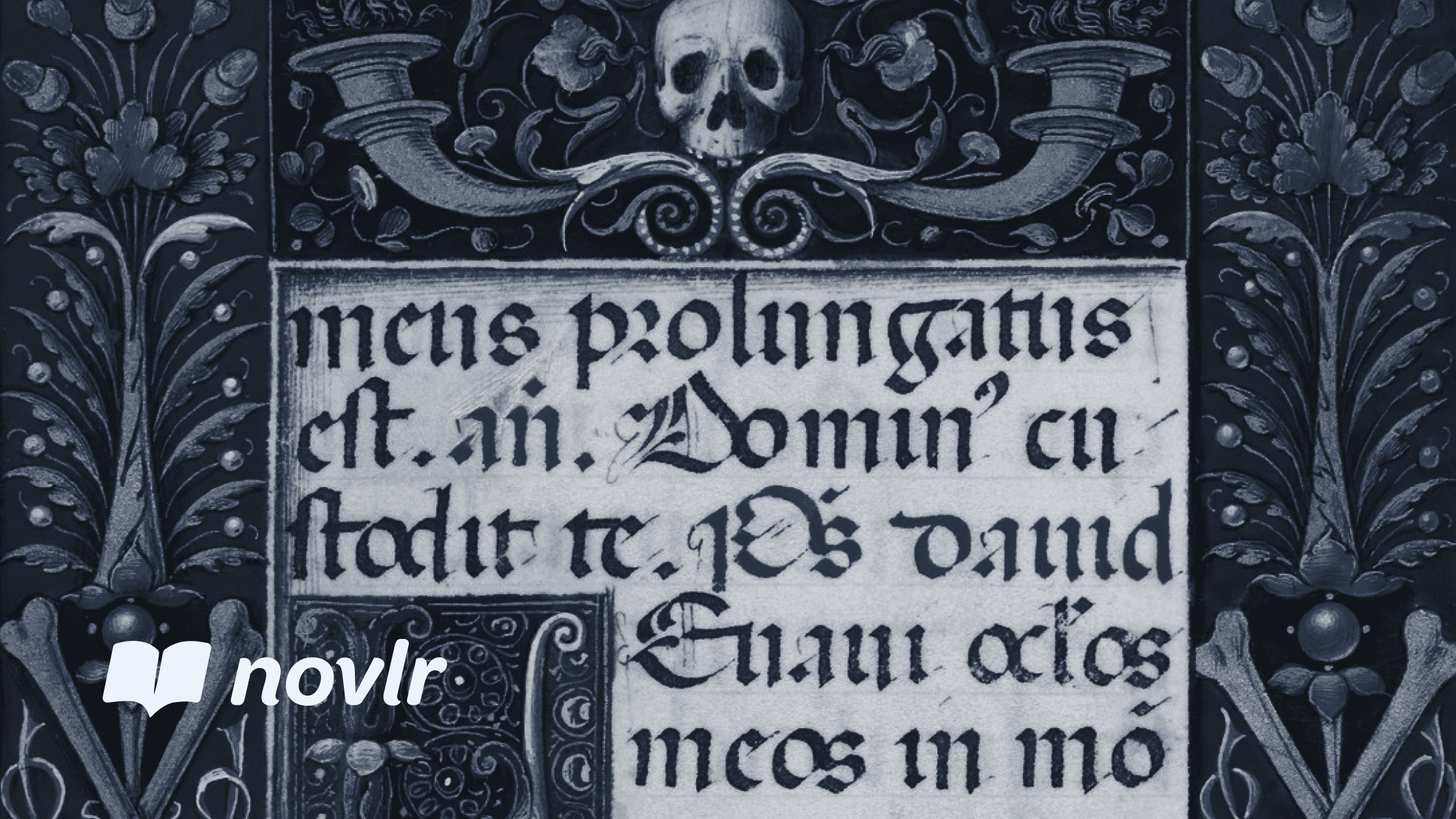 Writing a language barrier - Novlr quick tips
