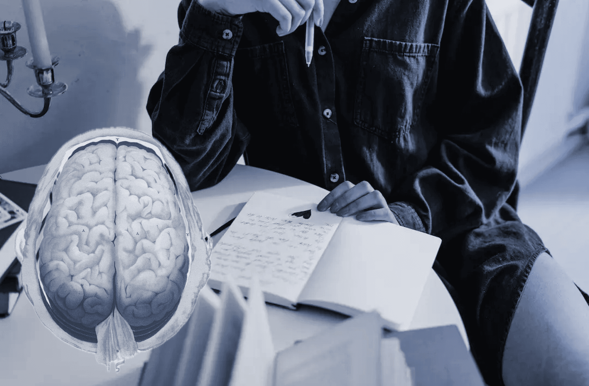 Write what you know - Novlr