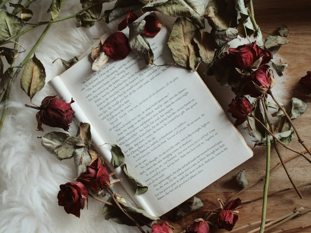 How to write a romance novel - Photo by Elaine Howlin on Unsplash