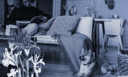 Black History Month: Books by Black Authors