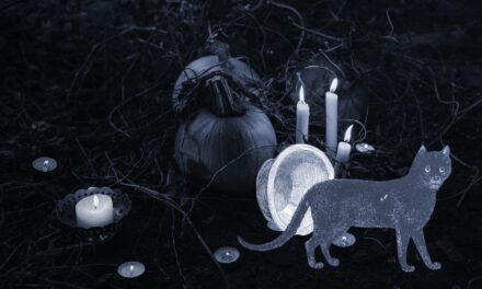 Halloween Reads for Children (That Aren’t Scary)