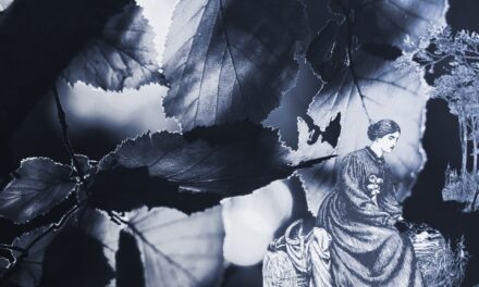 Writer’s Routines: Writing in the Afternoon