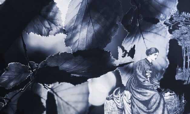 Writer’s Routines: Writing in the Afternoon