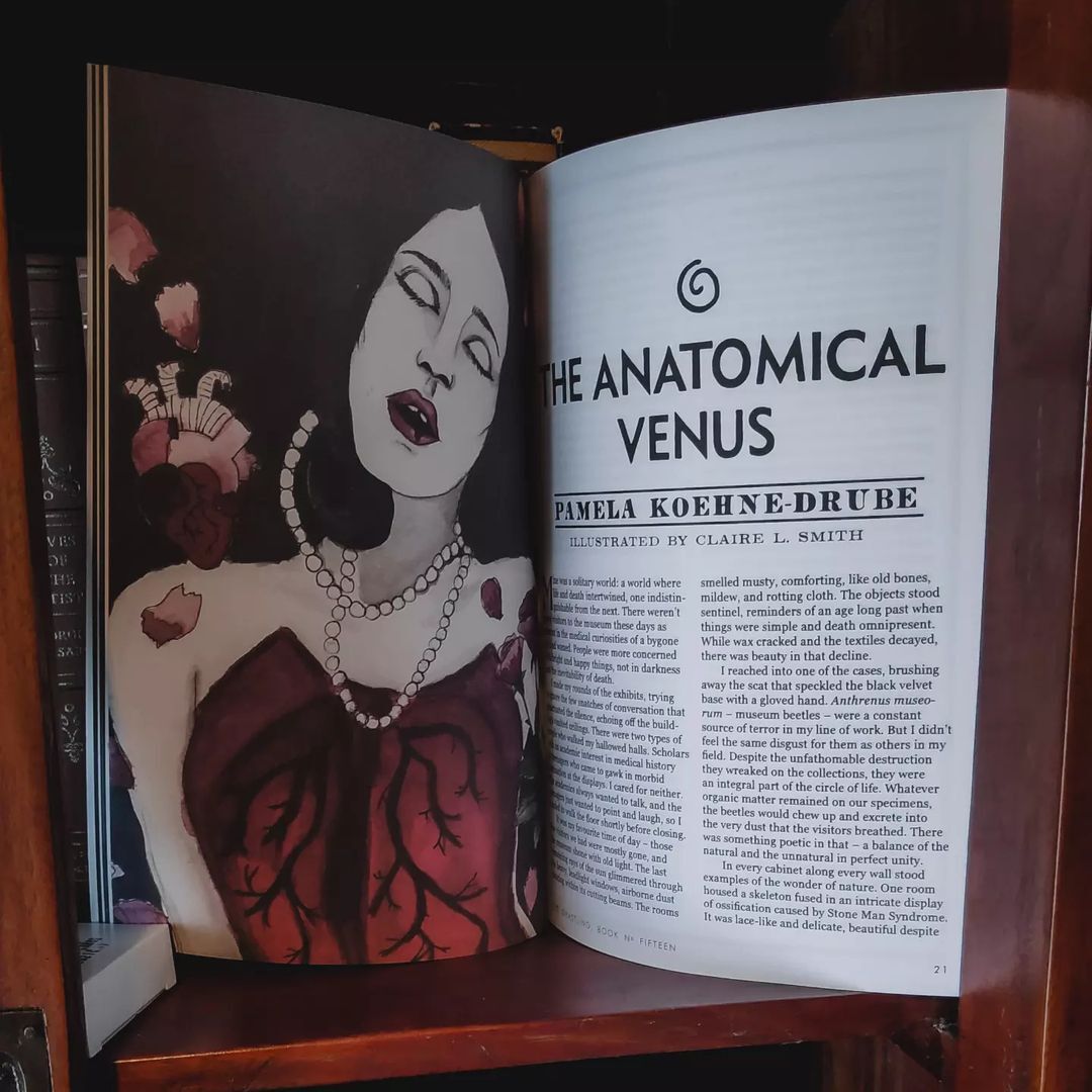 5 Ways That Humility Can Make You A Better Writer | The Novlr Reading Room