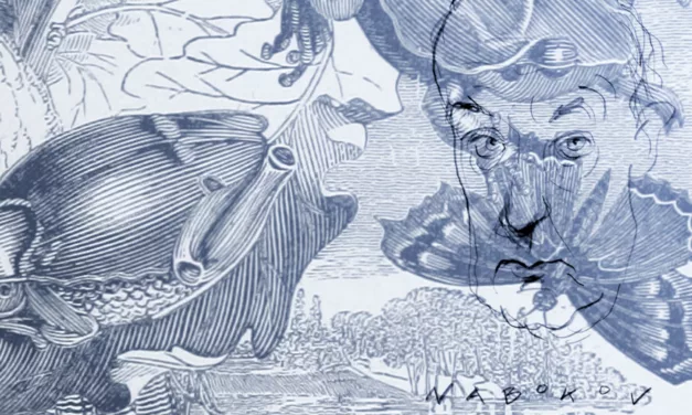 Why We Need To Talk About Adverbs