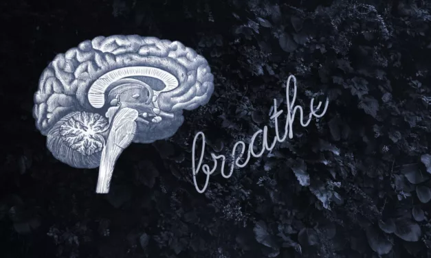 How To Write Non-Fiction: Personal Development