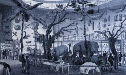 Show, Don’t Tell: The Not-So-Secret Weapon of All Great Writers