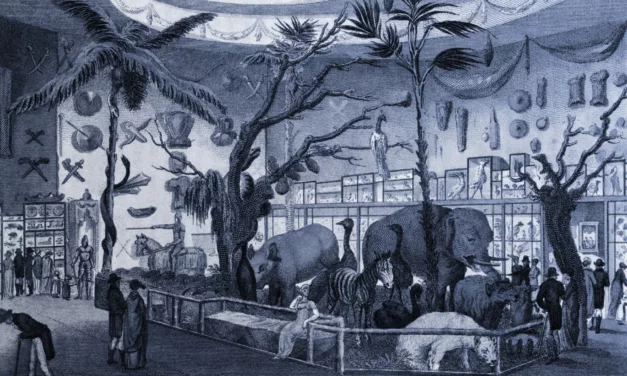 Show, Don’t Tell: The Not-So-Secret Weapon of All Great Writers