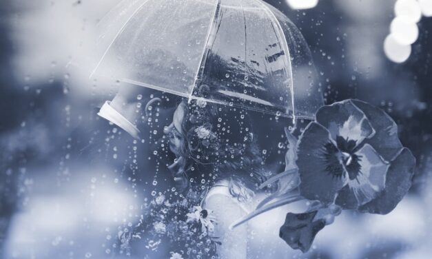 The Best Plot Structure for Writing a Romantic Comedy