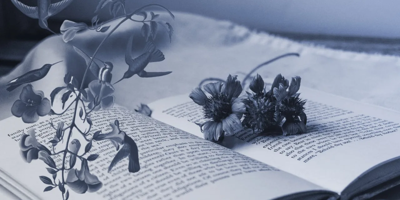 8 Mistakes to Avoid to Write the Perfect Novel Opening