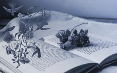 8 Mistakes to Avoid to Write the Perfect Novel Opening