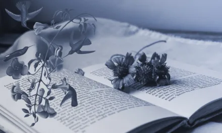 8 Mistakes to Avoid to Write the Perfect Novel Opening