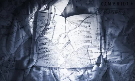 How do you prioritise subplots?