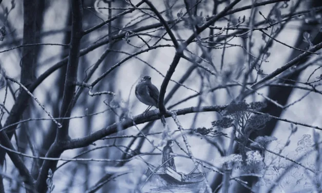 How do I effectively write foreshadowing?