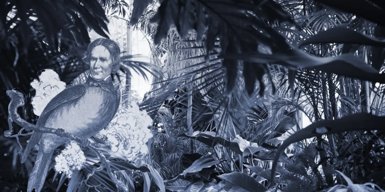 How do you write a good metaphor?