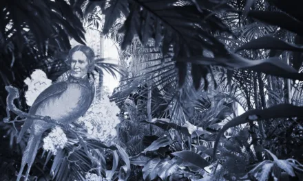 How do you write a good metaphor?