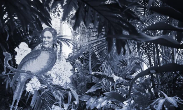 How do you write a good metaphor?