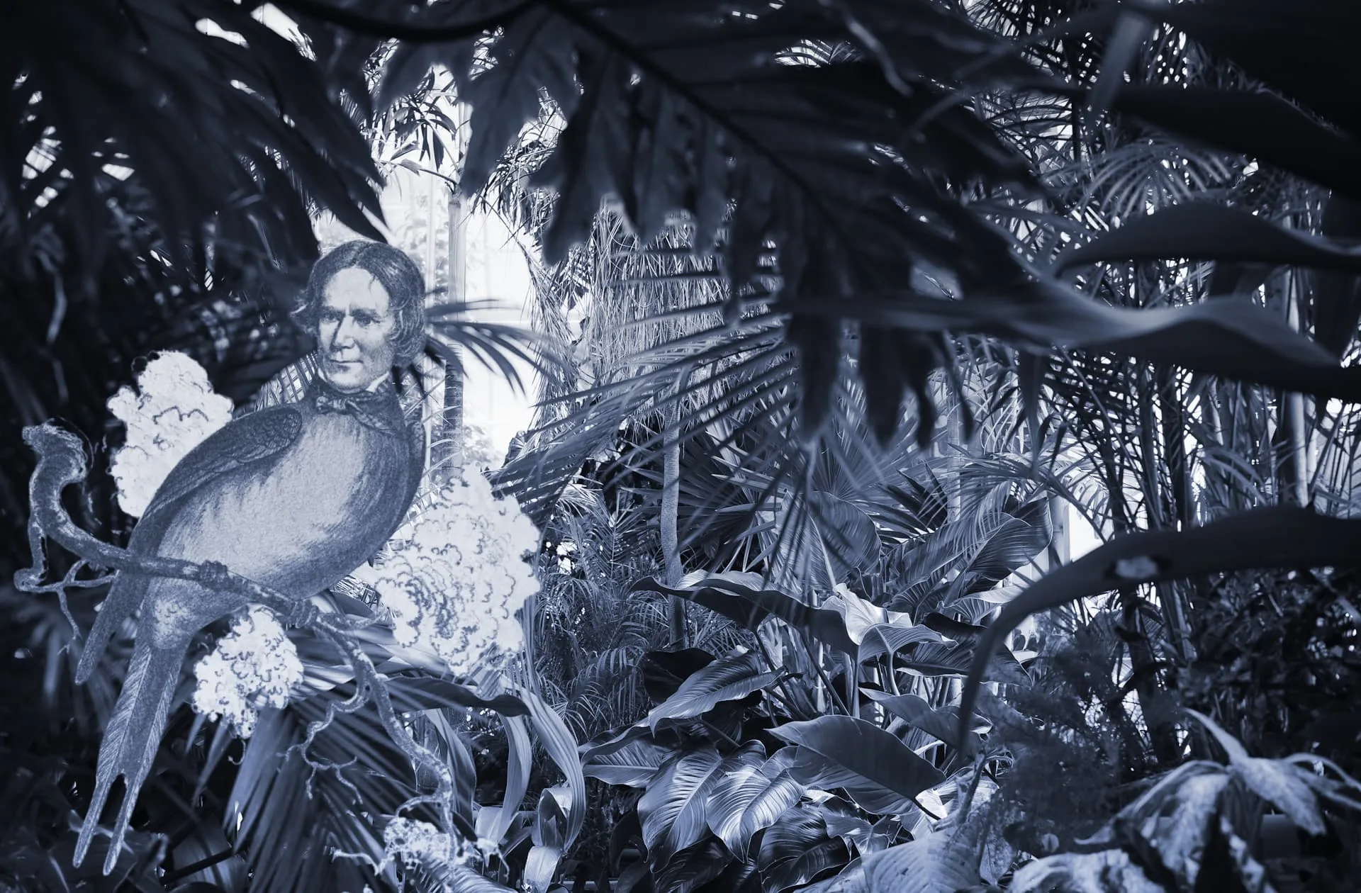 How do you write a good metaphor?