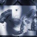 Genre Talk: Exploring the World of Cosy Fiction