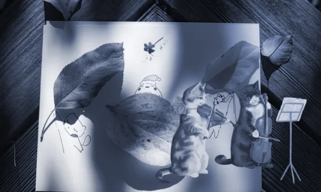 Genre Talk: Exploring the World of Cosy Fiction