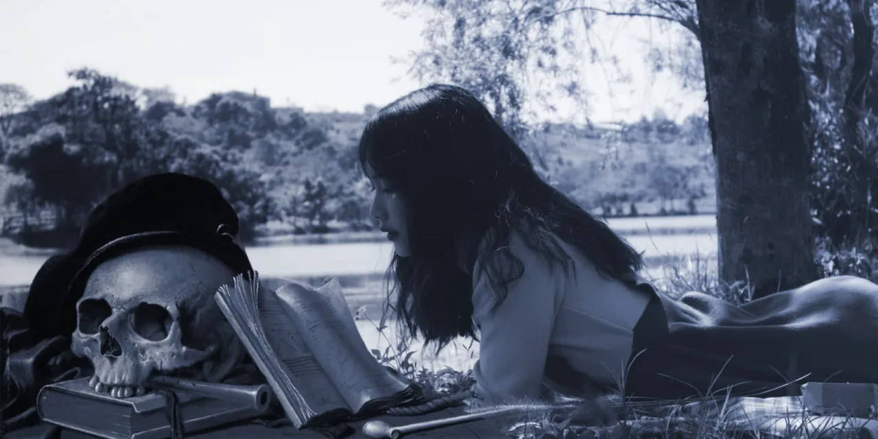 The Troubling Trend of Online Beta Reading Scams