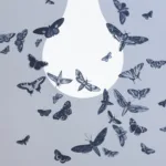 How do you connect big ideas?