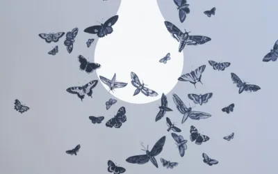 How do you connect big ideas?