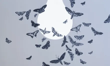 How do you connect big ideas?