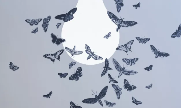 How do you connect big ideas?