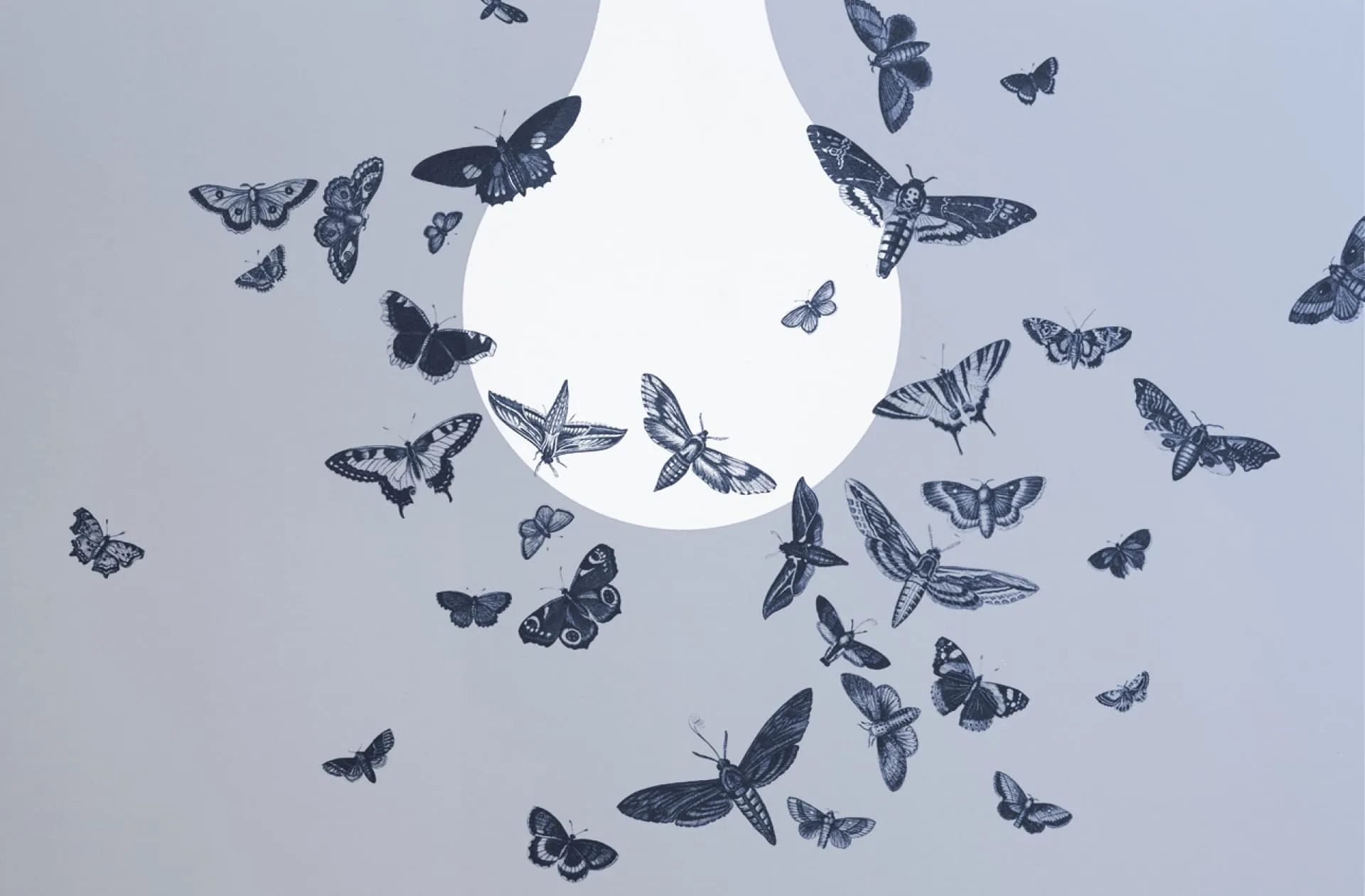 How do you connect big ideas?