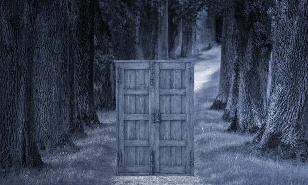 How do you choose between multiple story options?